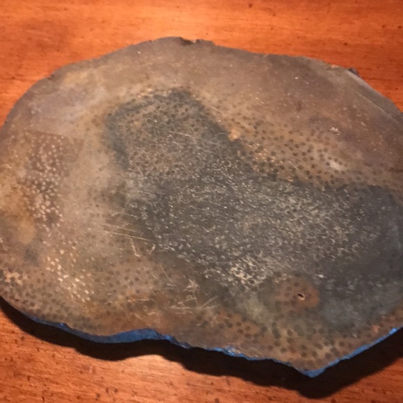 Petrified palm wood - Picture 4 of 9